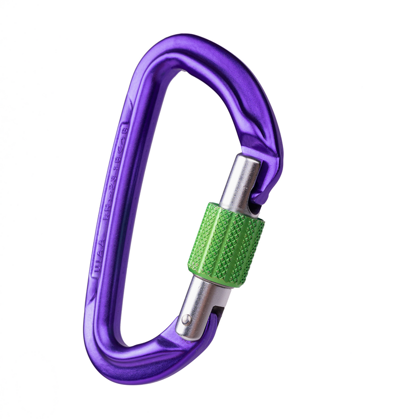 Wild Country Climbing Session Screw Gate Locking Carabiner Outdoor Action Purple/Green - Closed