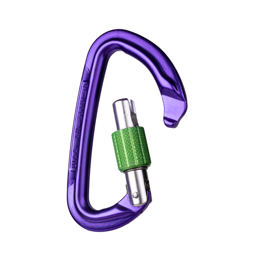 Wild Country Climbing Session Screw Gate Locking Carabiner Outdoor Action Purple/Green - Opened