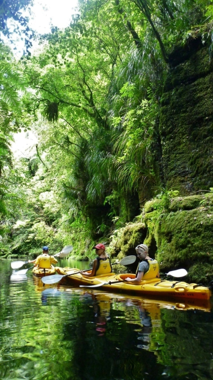 Mission KayakMission Contour 490 KayakOutdoor Action