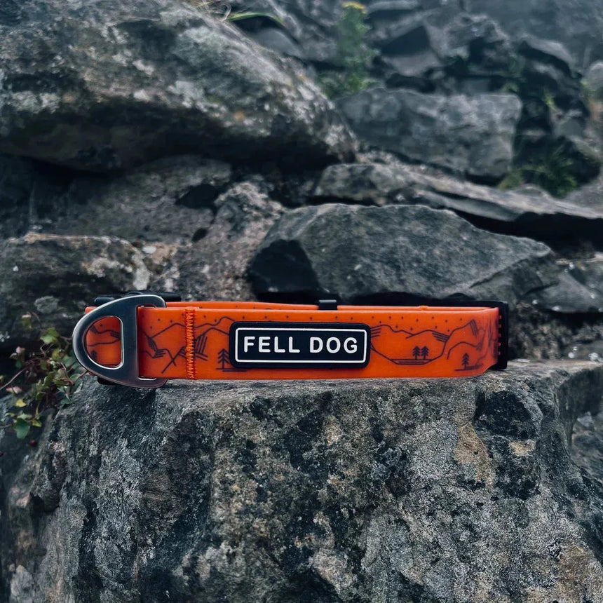 Fell Dog Drench Collar Outdoor Action Orange Mountain- product preview