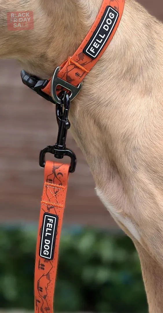 Fell DogFell Dog Drench LeadOutdoor Action