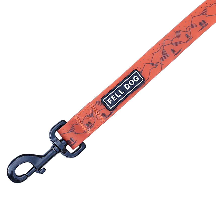 Fell DogFell Dog Drench LeadOutdoor Action