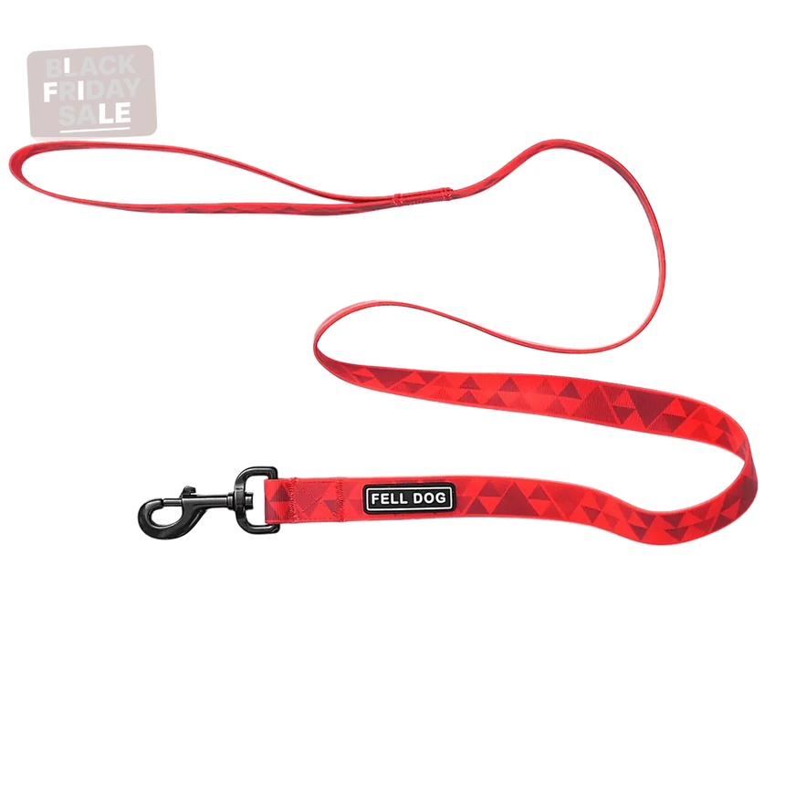 Fell DogFell Dog Drench LeadOutdoor Action