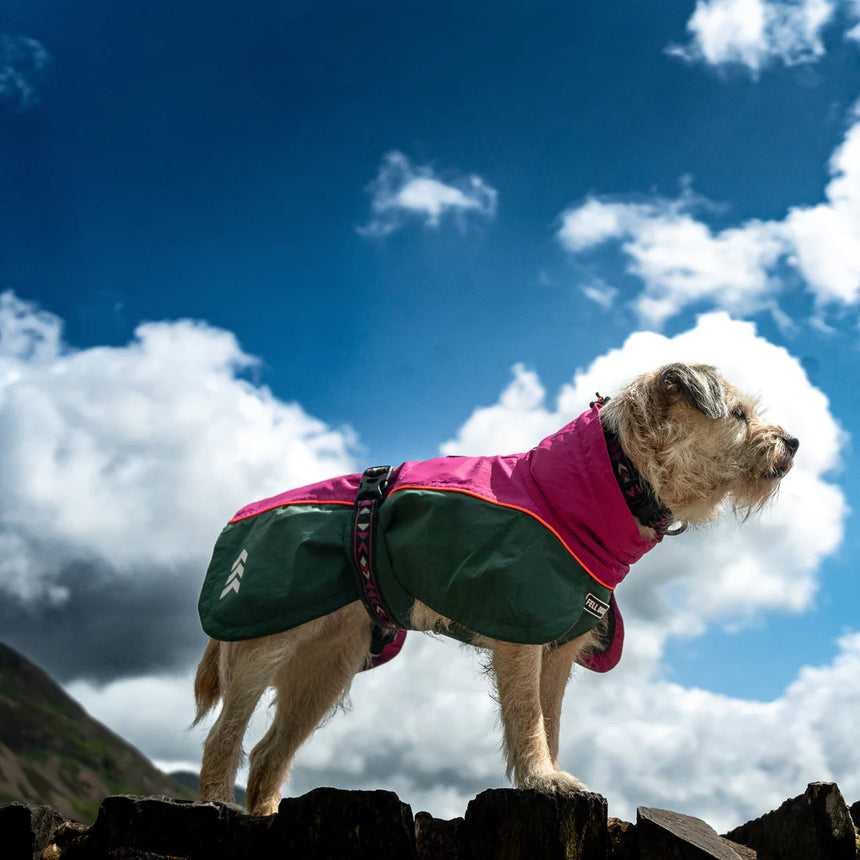 Fell DogFell Dog Drench Waterproof JacketOutdoor Action