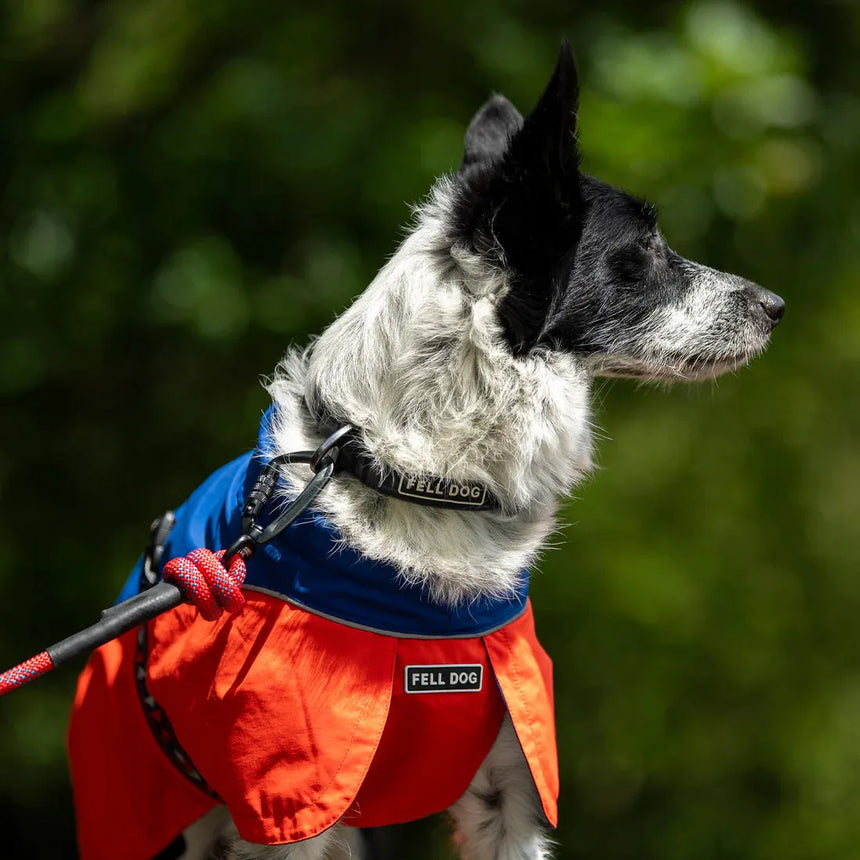 Fell DogFell Dog Drench Waterproof JacketOutdoor Action