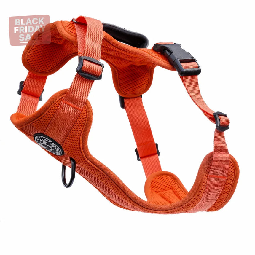 Fell DogFell Dog Helvellyn HarnessOutdoor Action