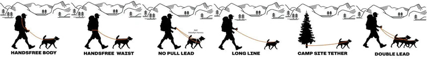Fell DogFell Dog Langdale Multifunctional LeadOutdoor Action