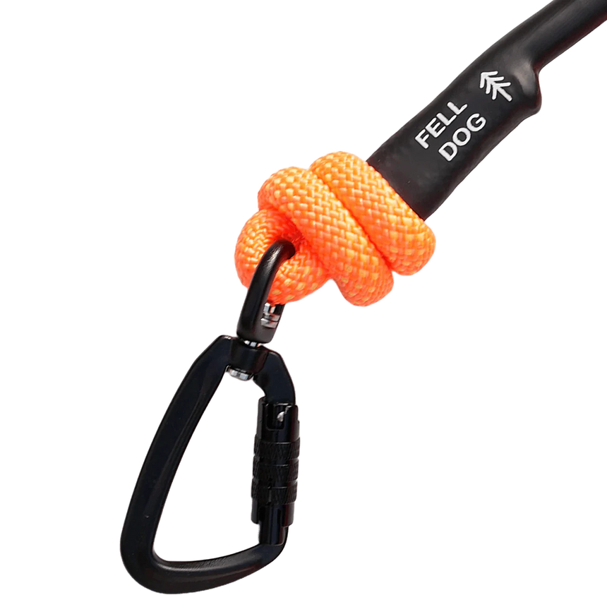 Fell DogFell Dog Scafell Rope LeadOutdoor Action