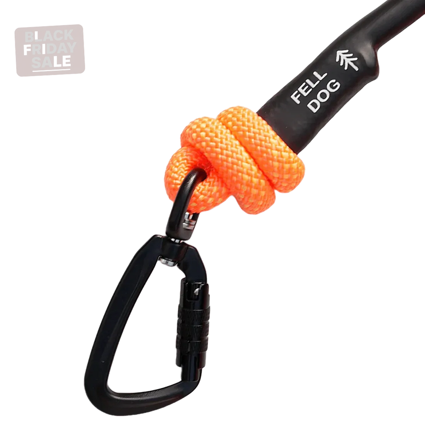 Fell DogFell Dog Scafell Rope LeadOutdoor Action