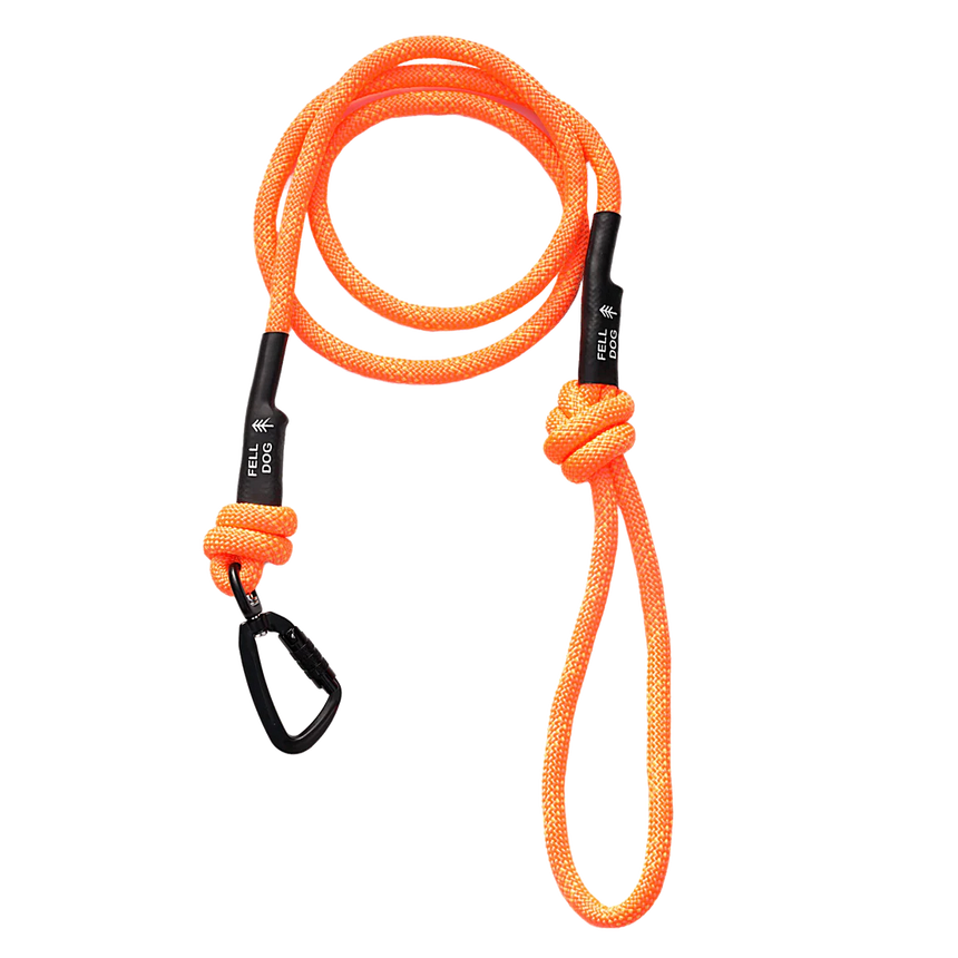 Fell DogFell Dog Scafell Rope LeadOutdoor Action