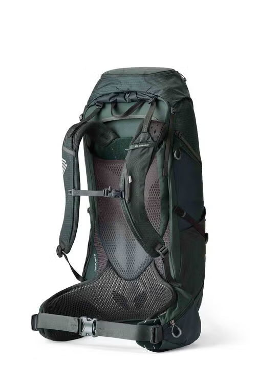 Gregory Paragon 50L Men's Backpacking Pack in Cascade Green - Back