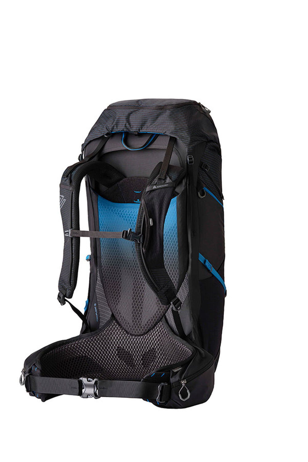 Gregory Paragon 60 Men's Backpacking Pack in Alpine Black - Back