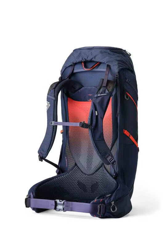Gregory Paragon 60 Men's Backpacking Pack in Spark Navy - Back