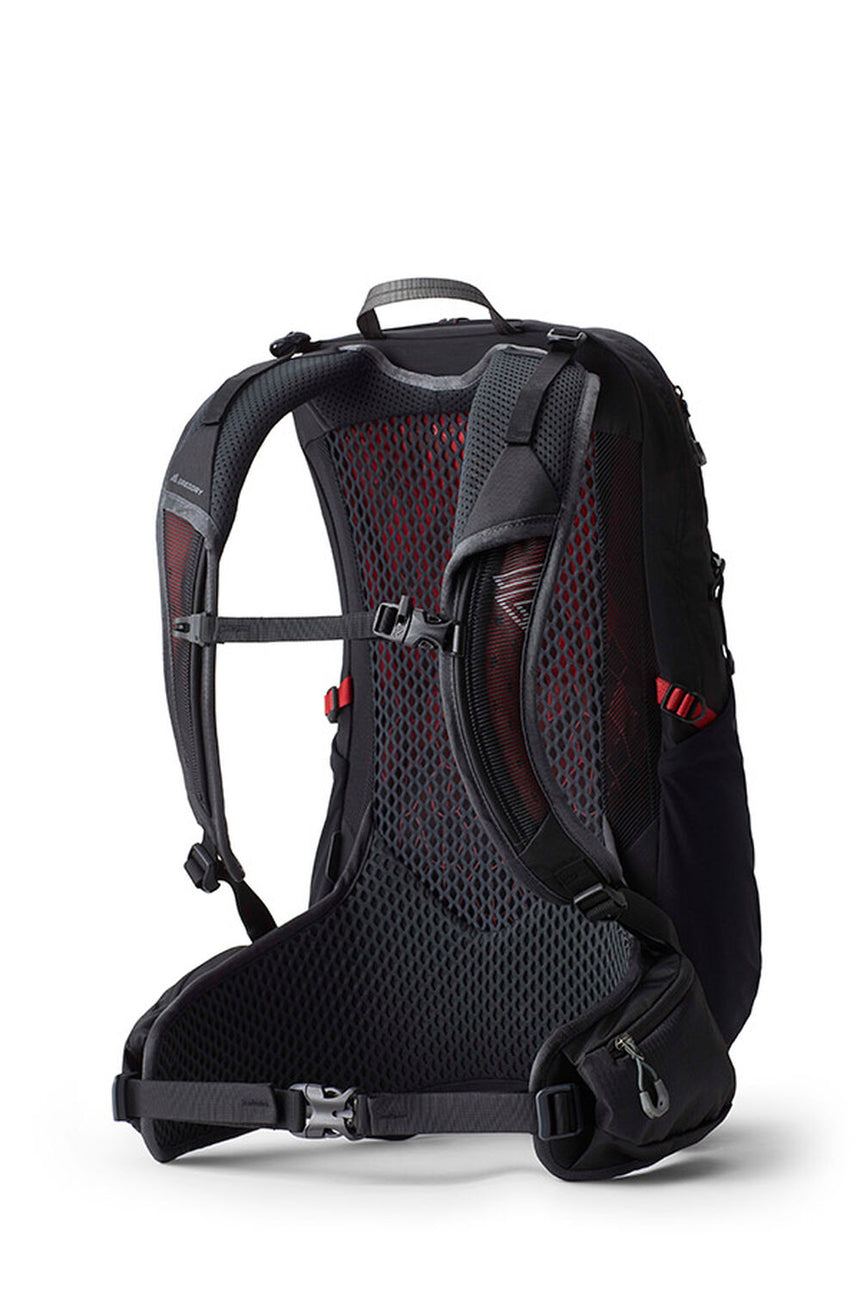 Gregory Zulu LT 20 Men's Hiking Backpack in Volcanic Black - Back