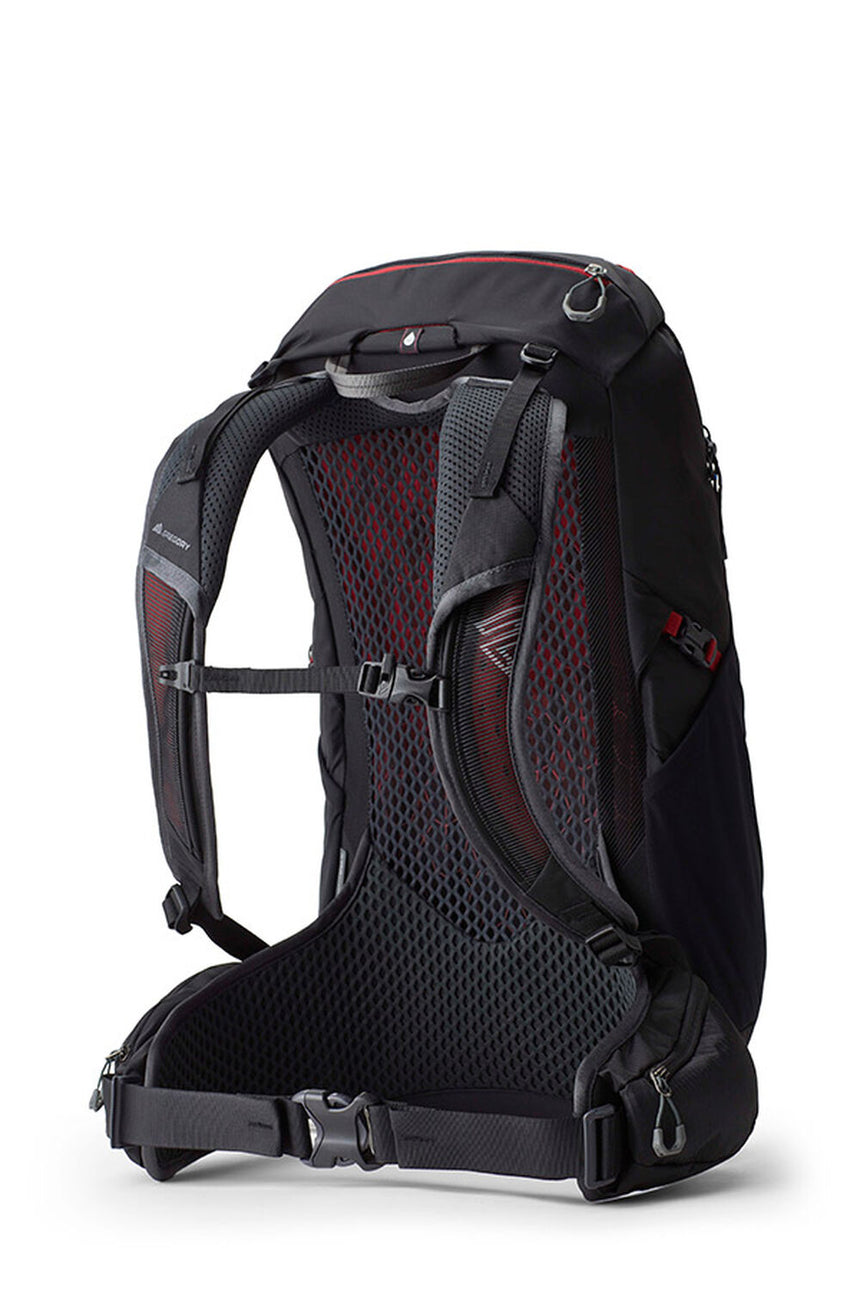 Gregory Zulu LT 28 Men's Hiking Backpack in Volcanic Black - Back