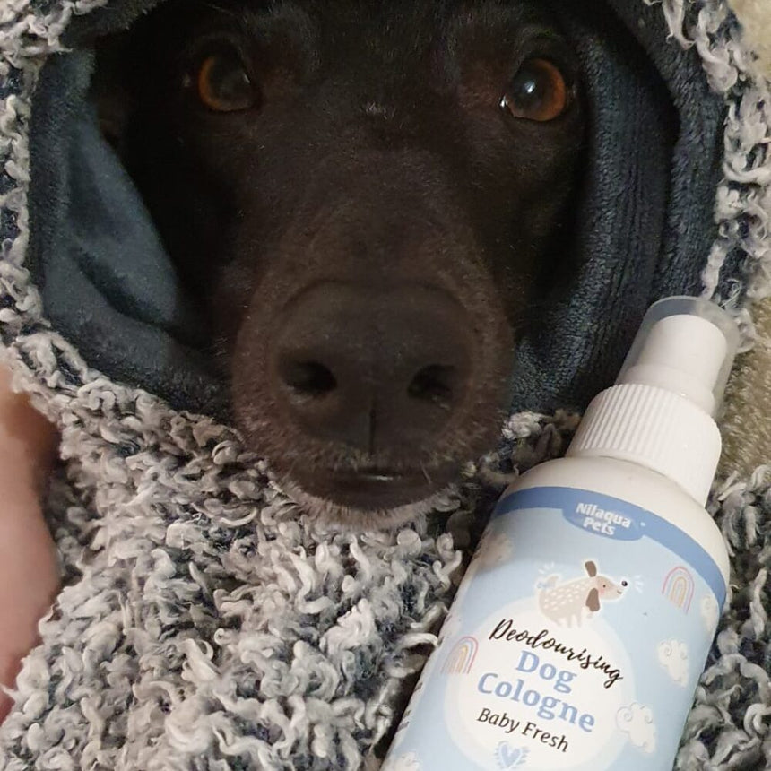 Nilaqua PetsNilaqua Pets Baby Fresh Dog CologneOutdoor Action