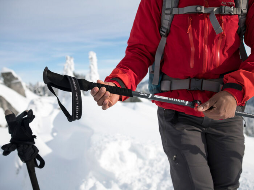 MSRMSR DynaLock Explore Backcountry PolesOutdoor Action