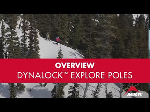 MSR DynaLock?�� Explore Backcountry Poles