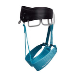 Black DiamondBlack Diamond Women's Momentum HarnessOutdoor Action