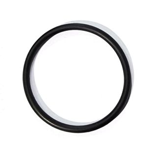MSR Guardian purifier piston nut O-ring