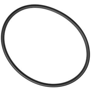 MSR MiniWorks EX filter housing O-ring