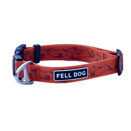 Fell Dog – Outdoor Action
