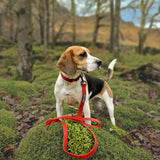 Fell DogFell Dog Drench LeadOutdoor Action
