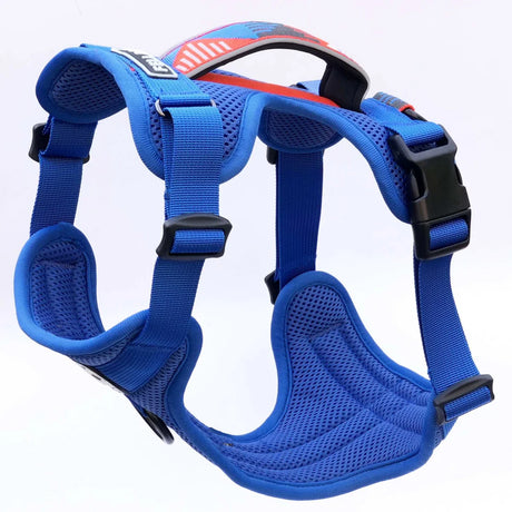 Fell Dog Helvellyn Harness Outdoor Action Blue Moon- product preview