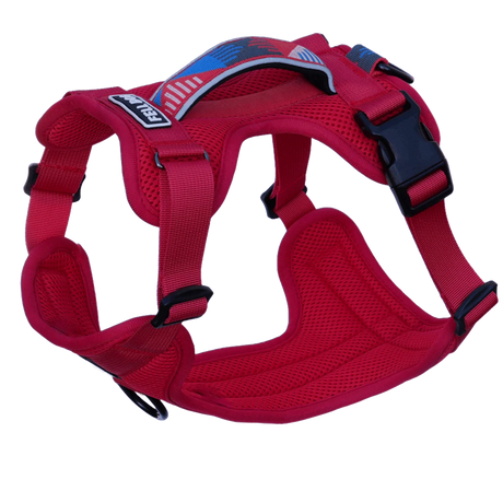 Fell Dog Helvellyn Harness Outdoor Action Red- product preview