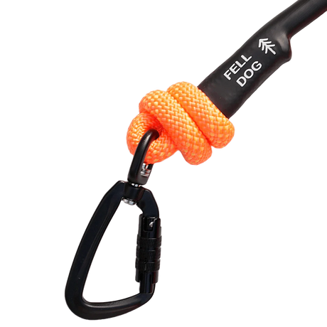 Fell DogFell Dog Scafell Rope LeadOutdoor Action
