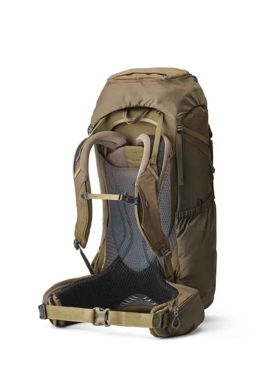 Gregory Baltoro 65L Men's Backpacking Pack in Crocodile Green - Back