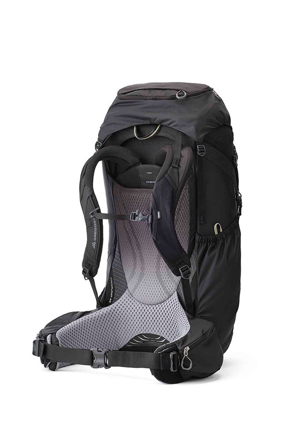 Gregory Baltoro 65L Men's Backpacking Pack in Shadow Pine Black - Back