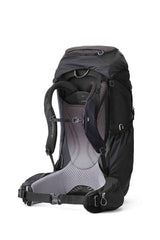 Gregory Baltoro 65L Men's Backpacking Pack in Shadow Pine Black - Back