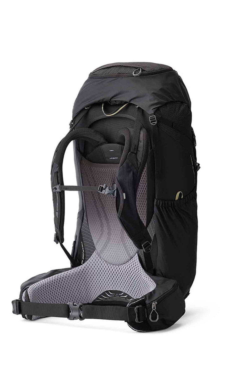 Gregory Baltoro 75L Men's Backpacking Pack in Shadow Pine Black - Back