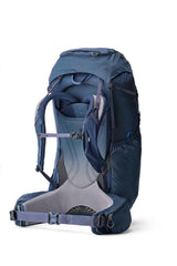 Gregory Baltoro 75L Men's Backpacking Pack in Stellar Blue - Back