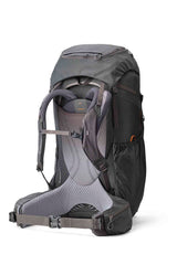 Gregory Baltoro Pro 85L Men's Backpacking Pack in Iron Grey - Back