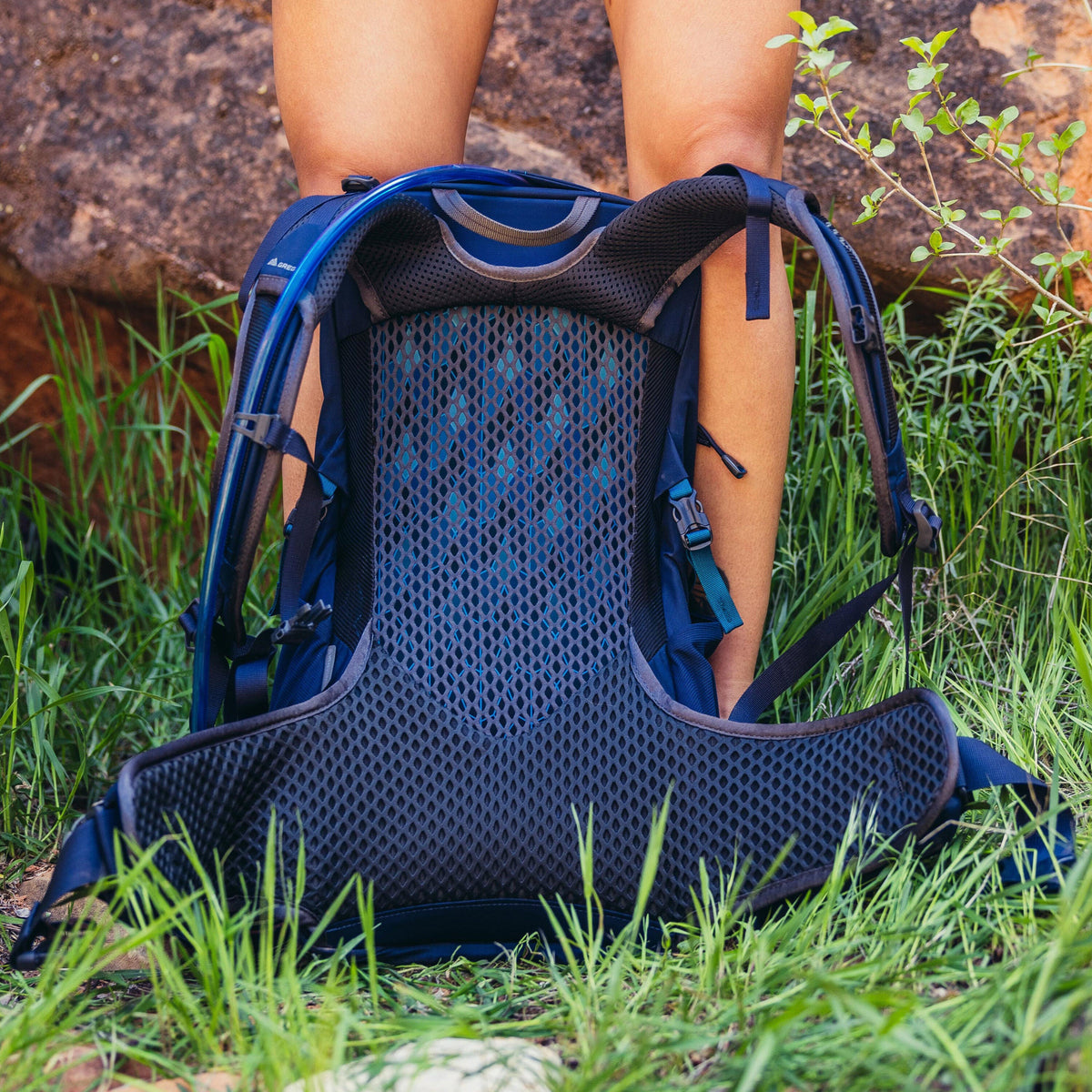 Gregory Jade LT 24L Women's Hiking Backpack in Midnight Navy - Backpanel Detail