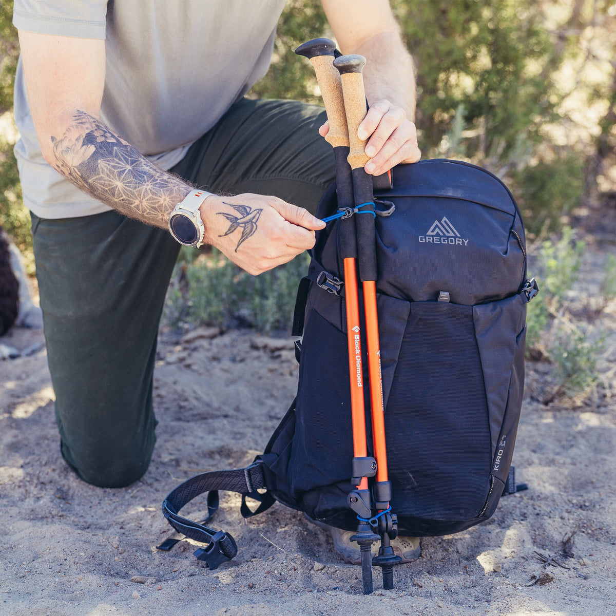Gregory Kiro 24L Daypack - trekking pole attachment detail, worn