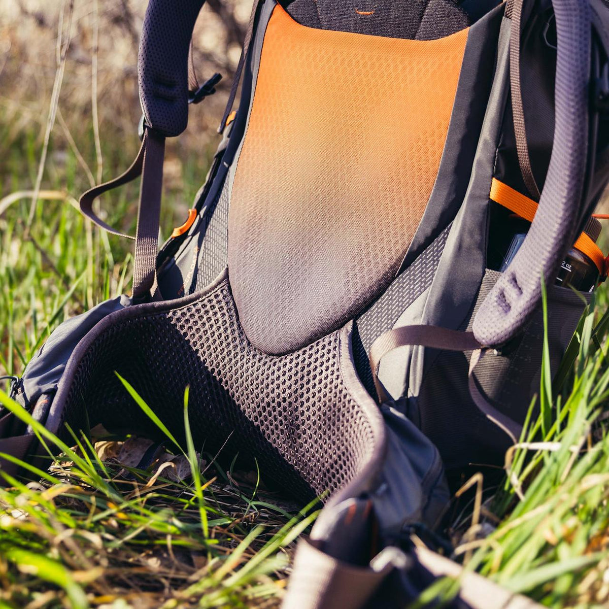 Gregory Maven 38 Hiking Backpack - Frame Detail