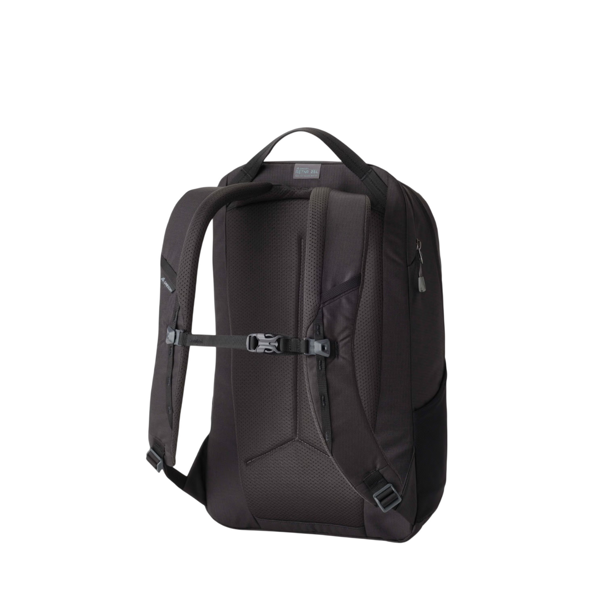 Gregory Retna 25 Backpack in Carbon Sky - Back