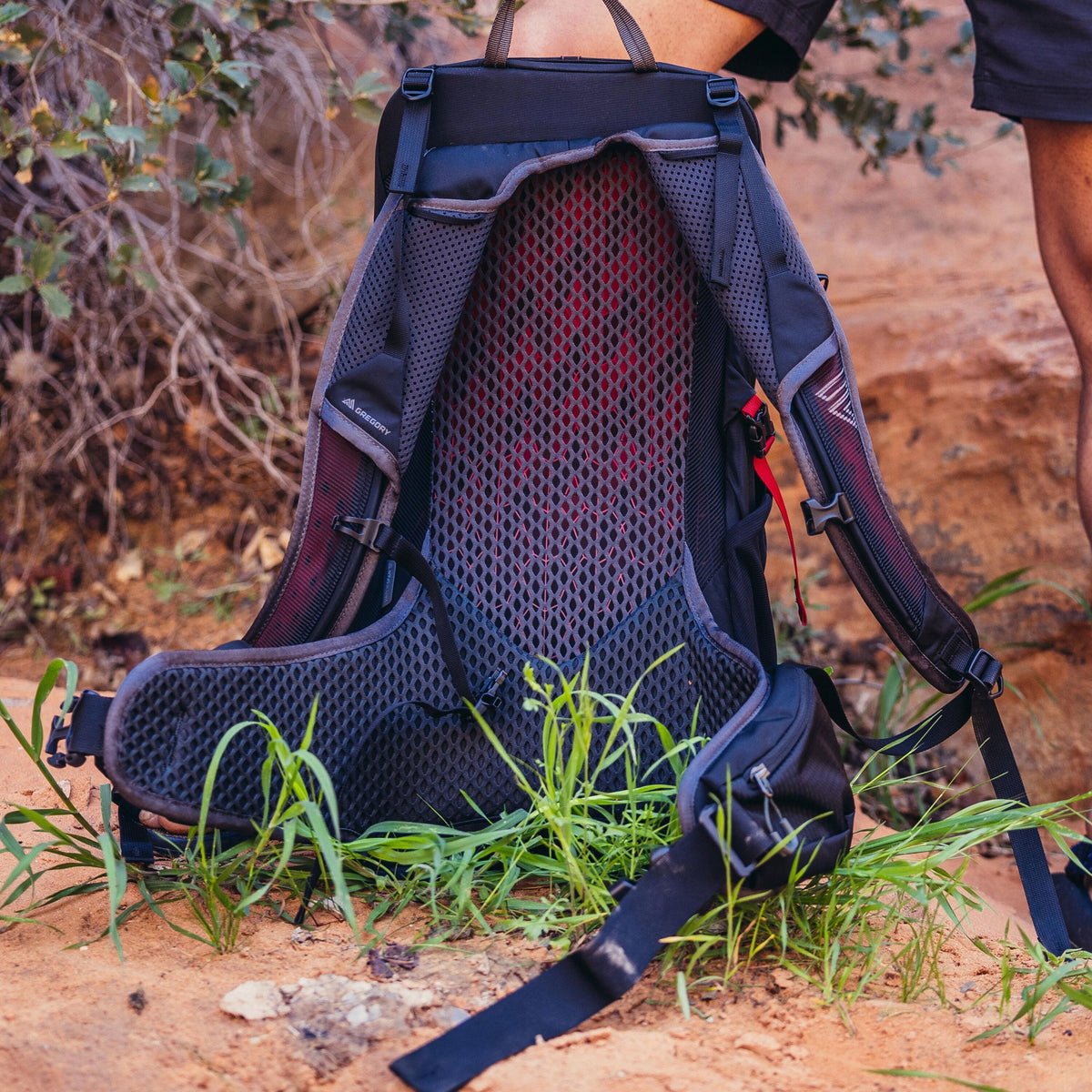 Gregory Zulu LT 24 Men's Hiking Backpack - back mesh panel detail, worn