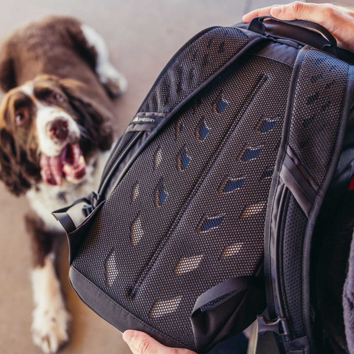 Gregory Nano 16L Breathable Die-Cut Backpanel - ventilated design for all-day comfort