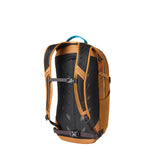 Gregory Nano 20L Daypack in Moab Tan - Back View showing breathable die-cut backpanel