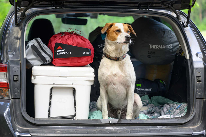 MSR Habiscape™ 4-Person Family & Group Camping Tent Outdoor Action- Packed