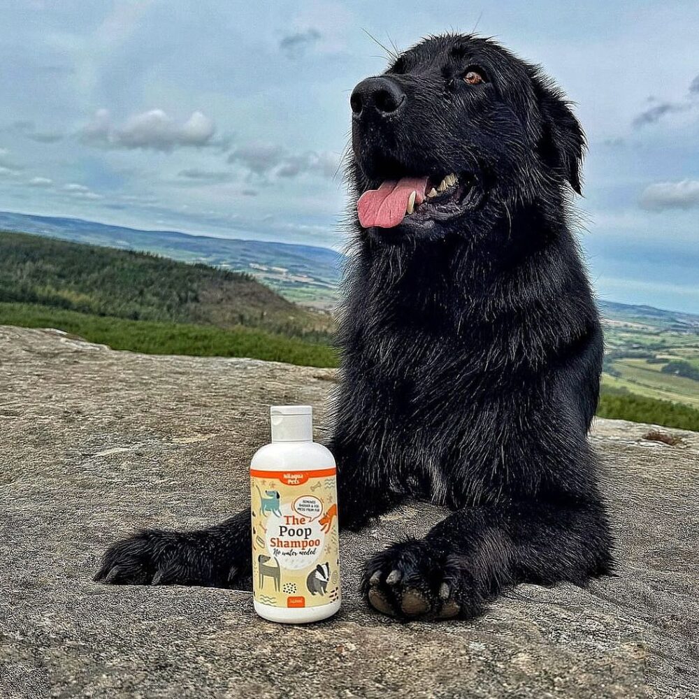 Nilaqua Pets Poop Shampoo