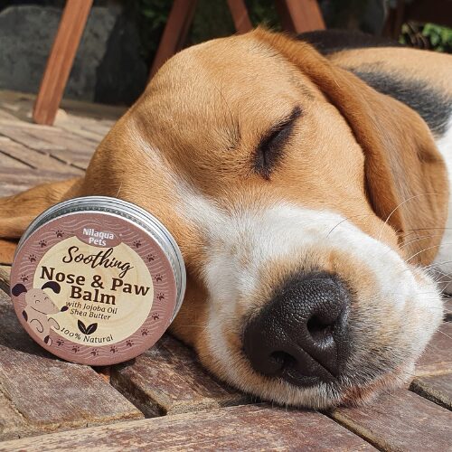 Nilaqua Pets Soothing Nose & Paw Balm with Jojoba Oil & Shea Butter