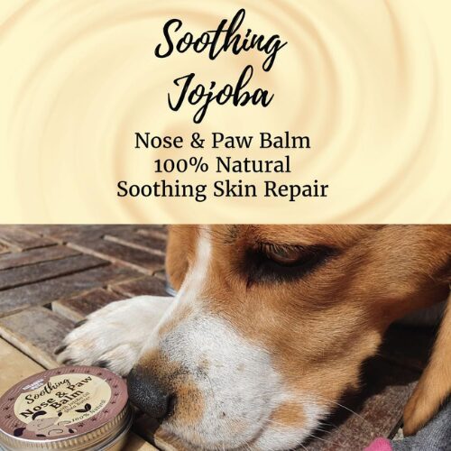 Nilaqua Pets Soothing Nose & Paw Balm with Jojoba Oil & Shea Butter
