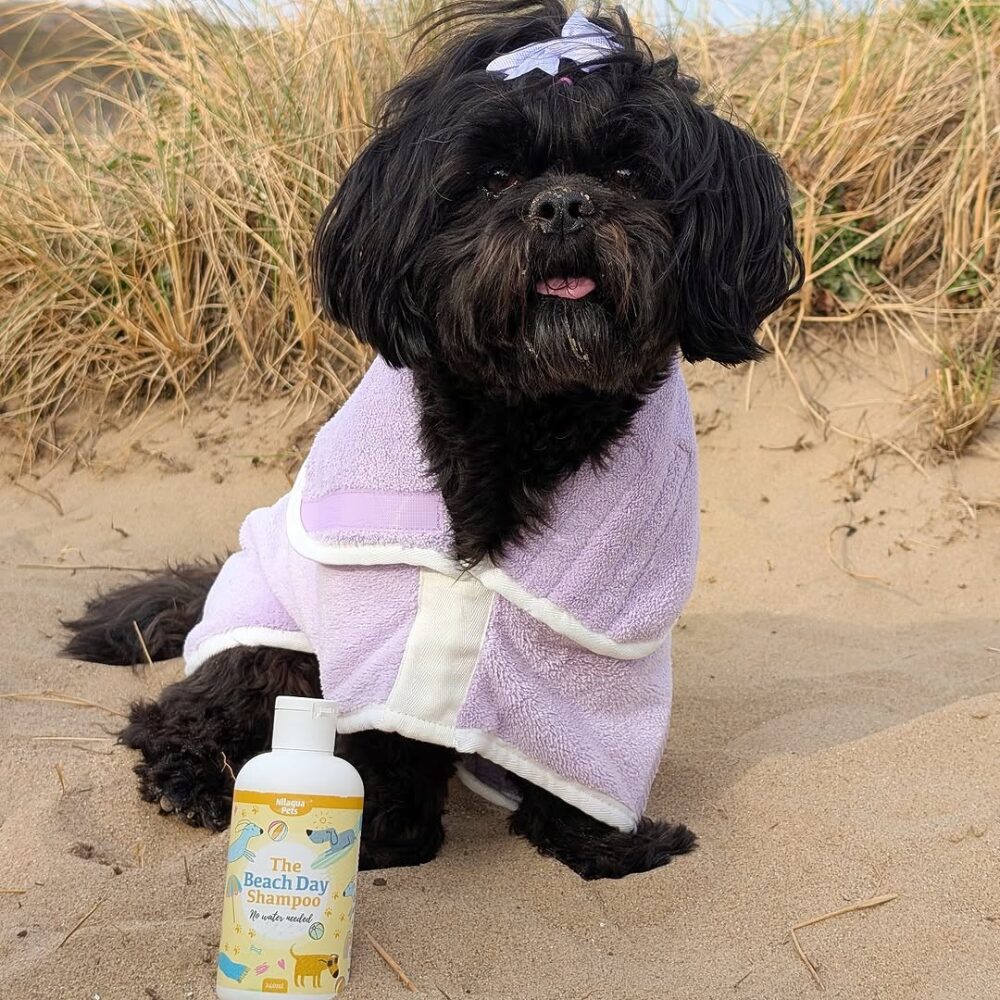 Nilaqua Pets Beach Day Shampoo