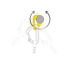 Petzl Coeur Pulse 12mm Anchor - Diagram Showing Locking Functionality with Carabiner