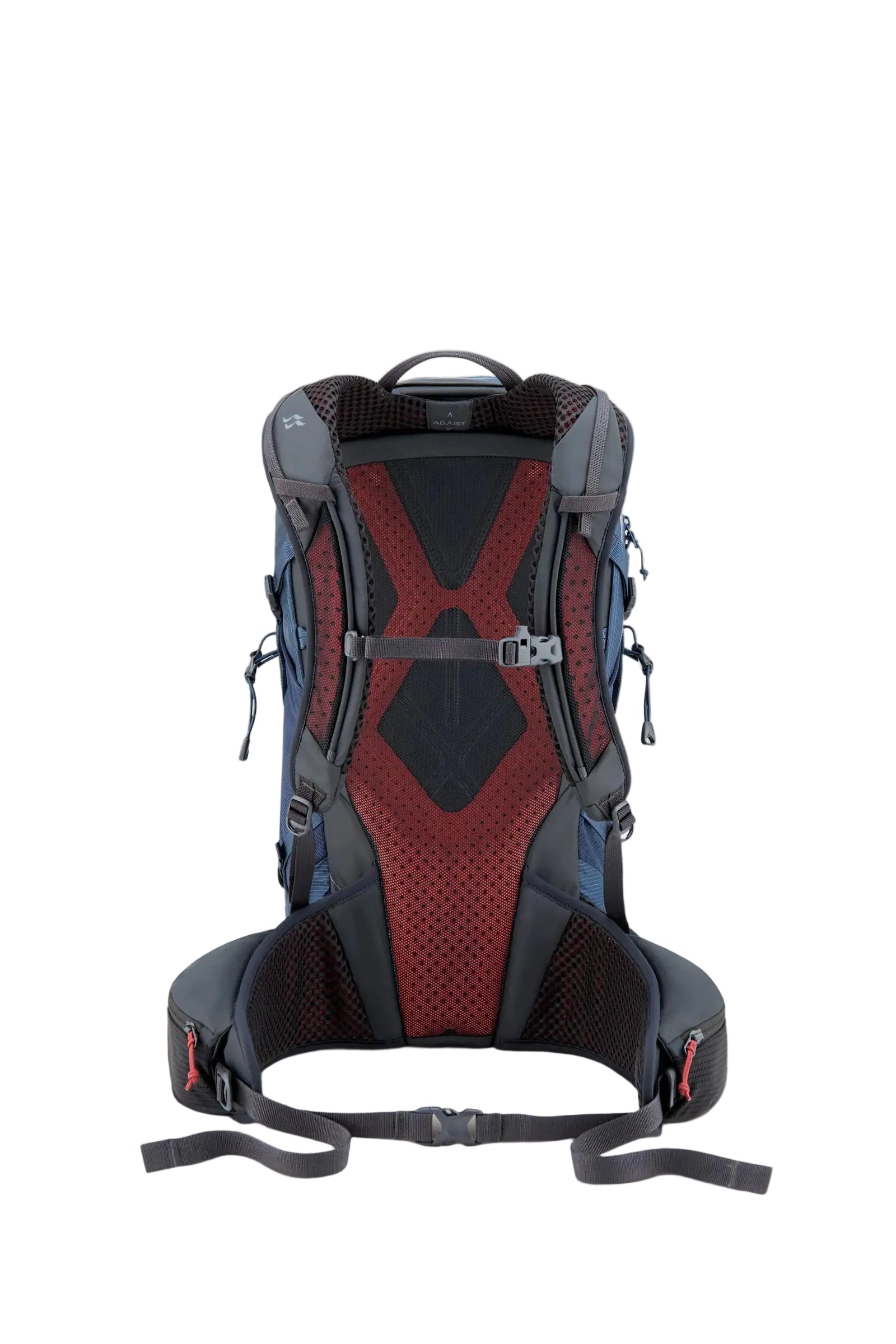 Rab Protium 20L Day Pack in Tempest Blue - Back View